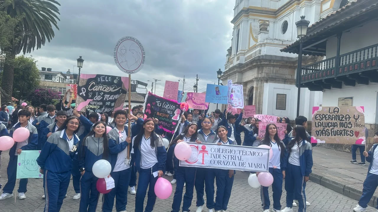 coltec cancer de mama